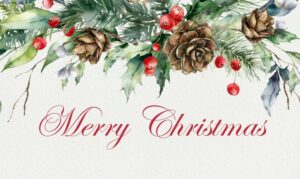 Merry Christmas From Floss Dental Of Houston Midtown